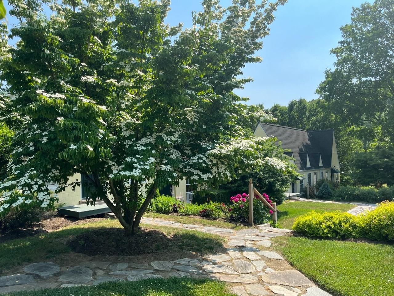 375 Weaverville Hwy - Photo 2 of 5