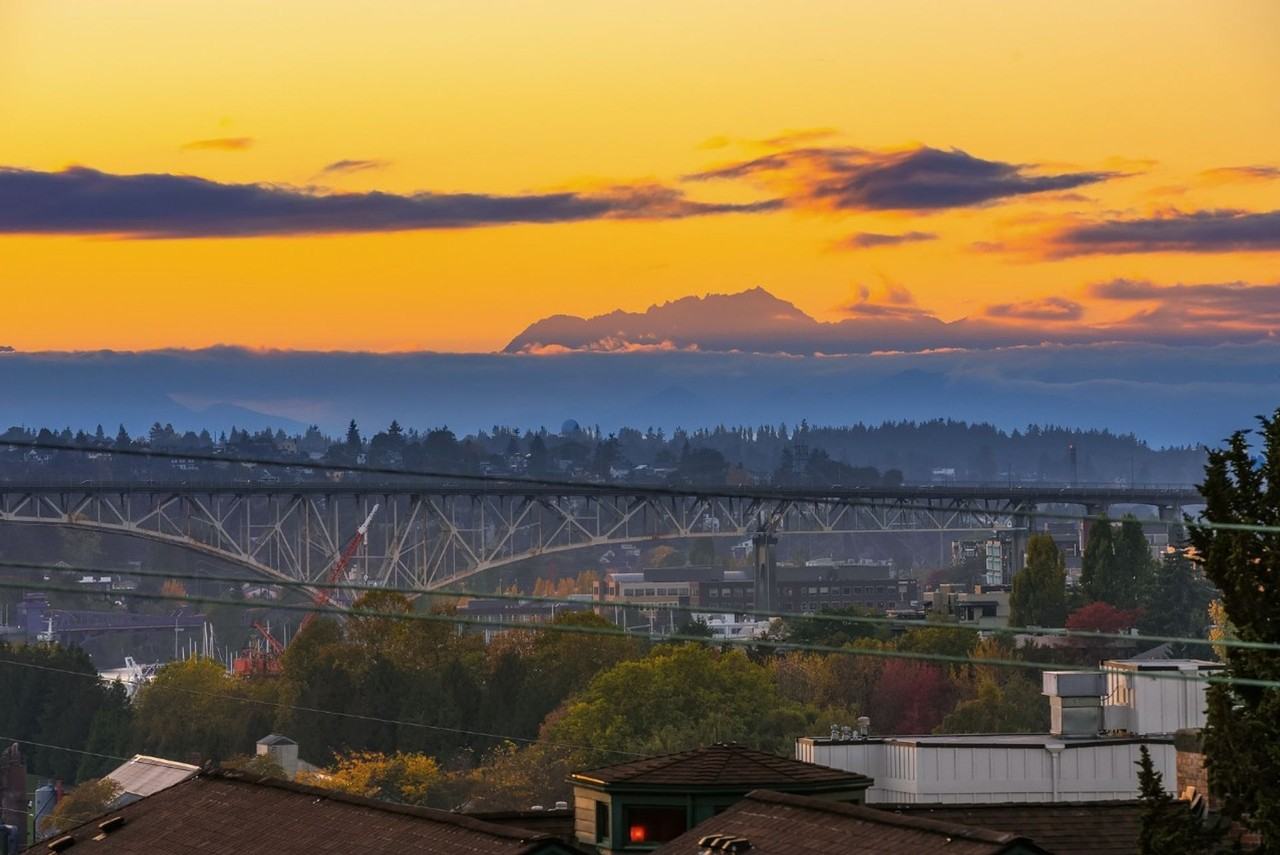 The Palms Apartments | 1 MONTH FREE! - Photo 6 of 28