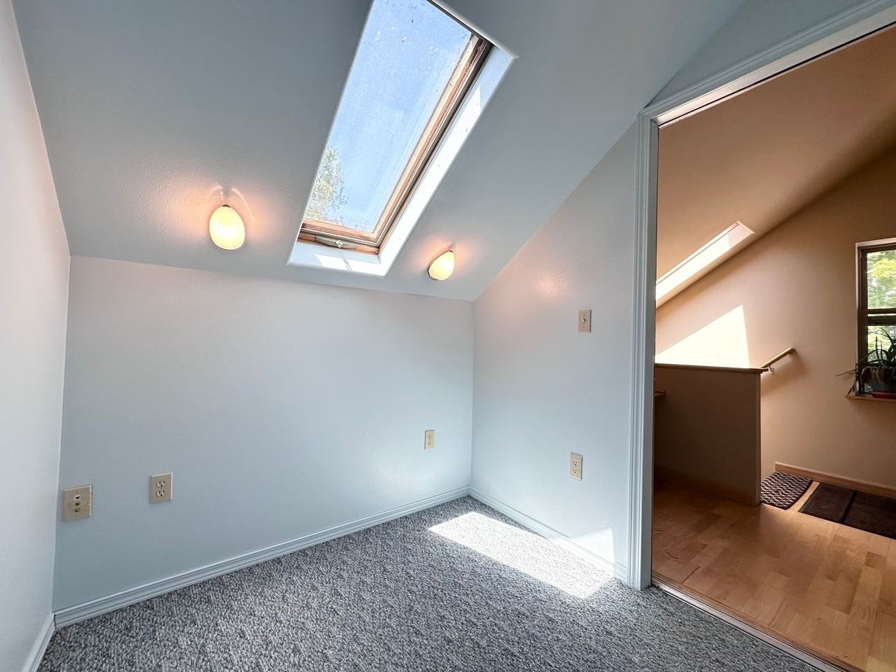 7330 Sw 53rd Ave #ADU - Photo 5 of 23