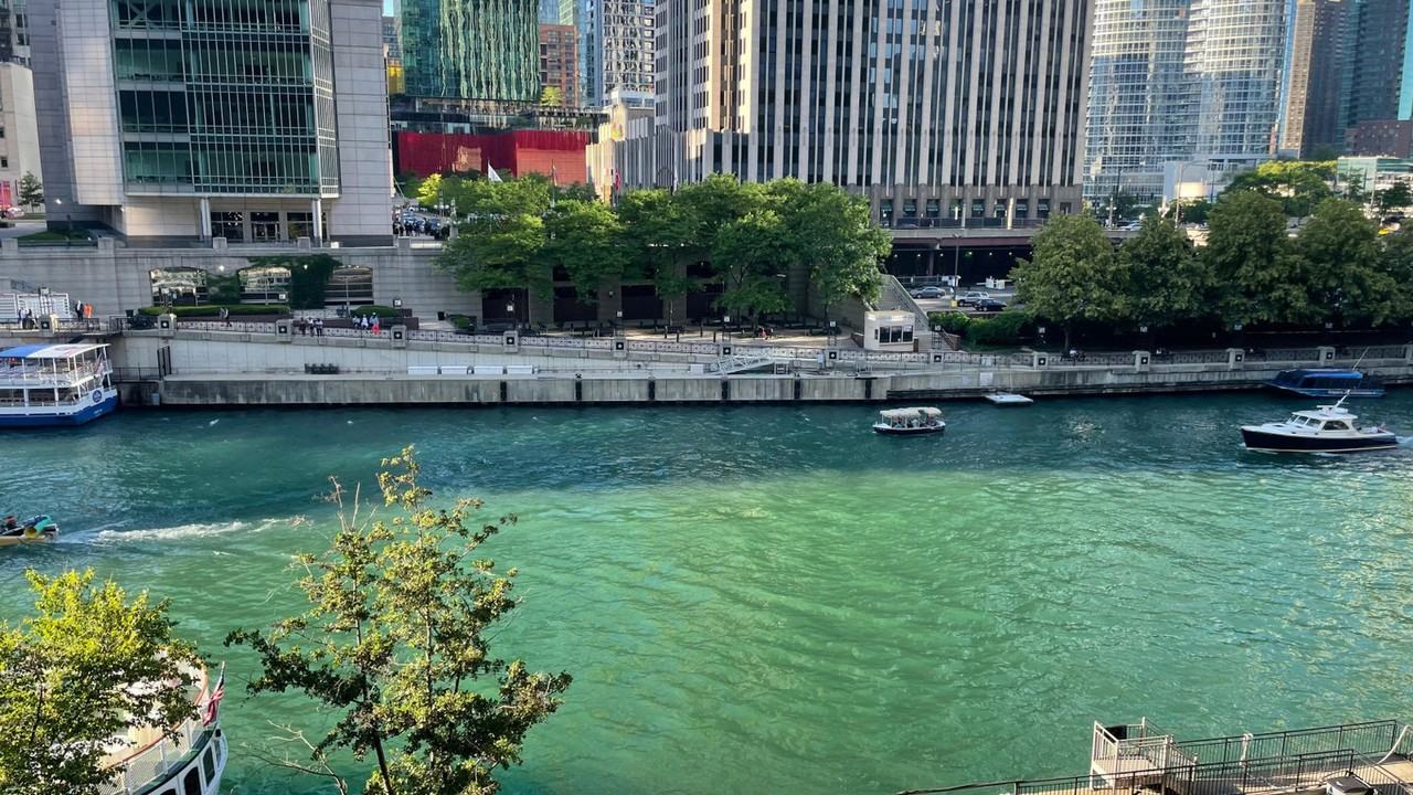 1049 W Lawrence Ave #1058519P - Photo 6 of 30