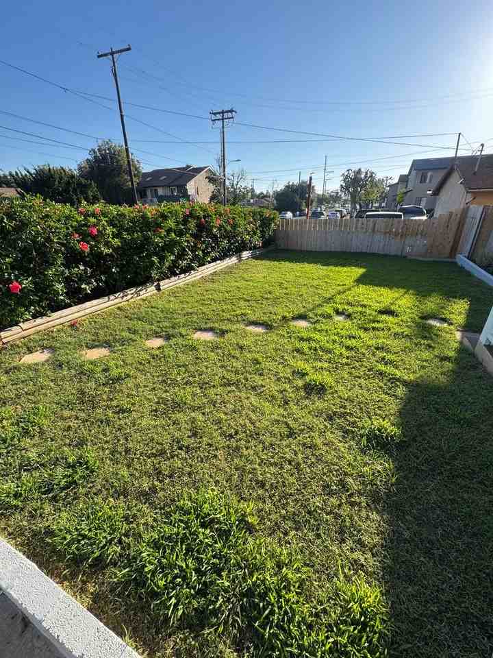 1234 Persimmon Ave - Photo 3 of 50