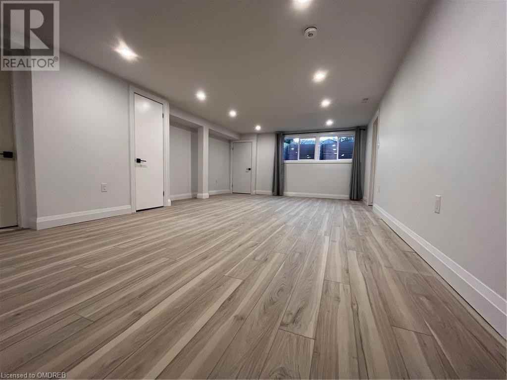 Bruce - Photo 3 of 8