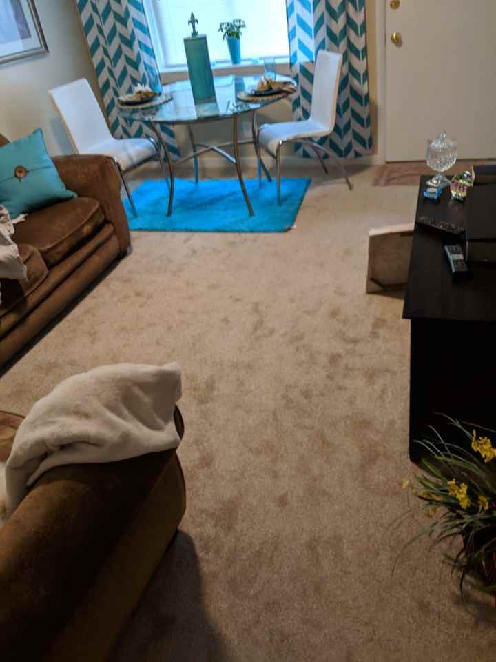 186 Juniper Dr - Photo 7 of 11