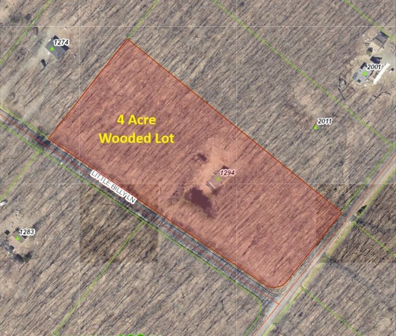 1294 Little Billy Ln - Photo 2 of 11