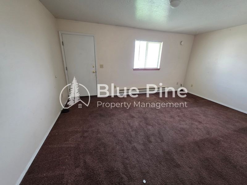 2137 Meppen Dr - Photo 3 of 9