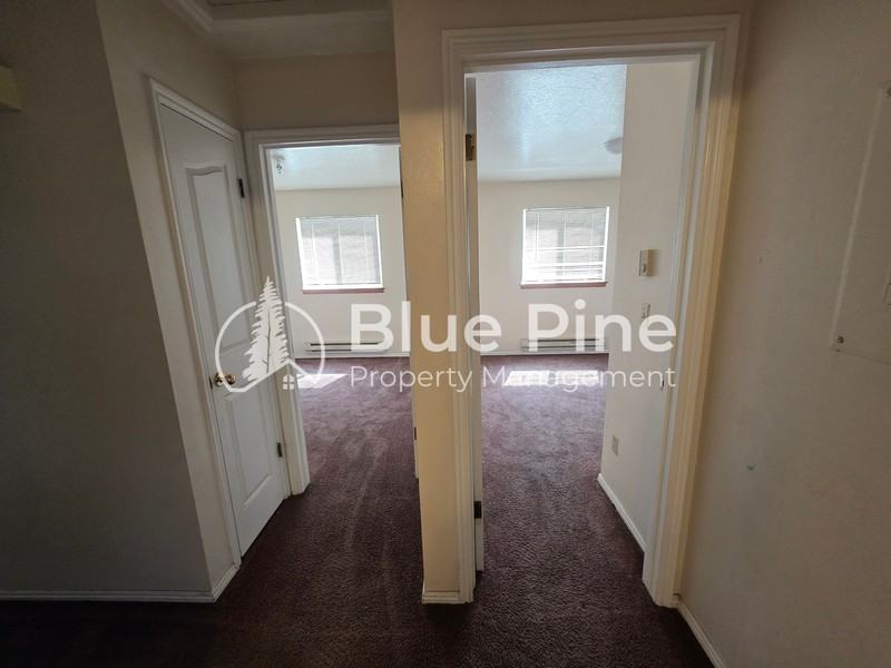 2137 Meppen Dr - Photo 4 of 9