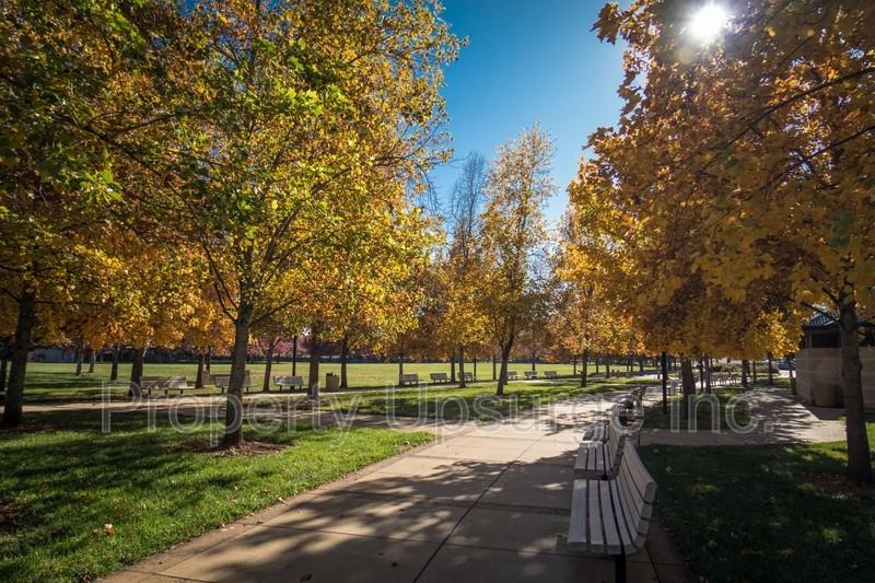 685 Mary St - Photo 7 of 10