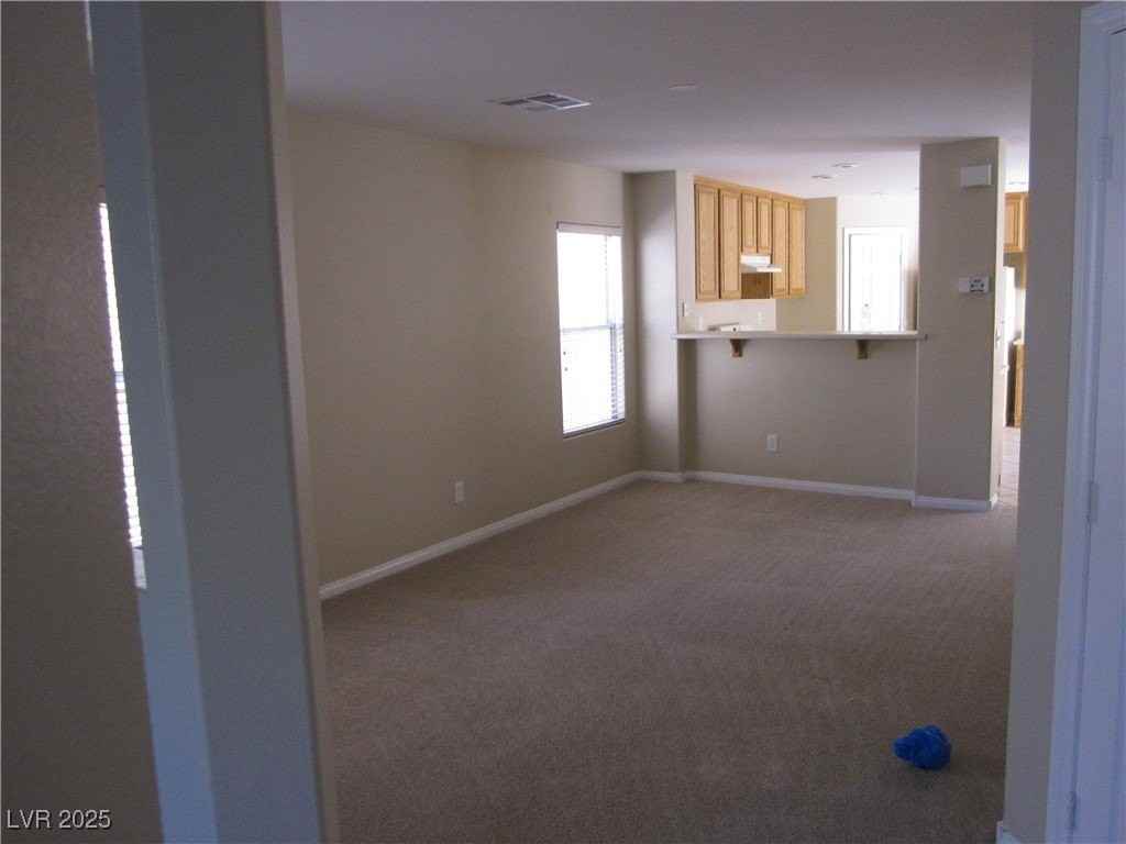 8313 Black Opal St - Photo 5 of 19