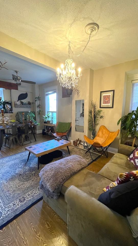 13 Gledhill Avenue - Photo 3 of 16