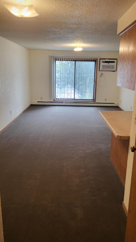 819 5th Ave S #104 - Photo 3 of 17