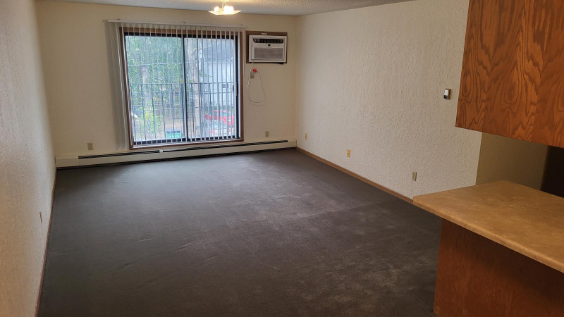 819 5th Ave S #104 - Photo 4 of 17