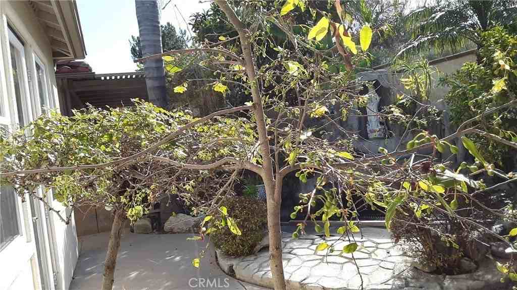 4443 Cherry Grv - Photo 6 of 41