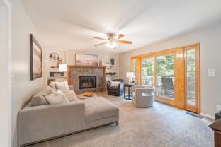 White Fir - Photo 1 of 1