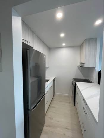 525 West 13th Avenue #1103 - Photo 2 of 8