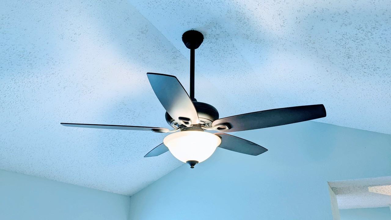 1820 Mercer St #4 - Photo 7 of 18