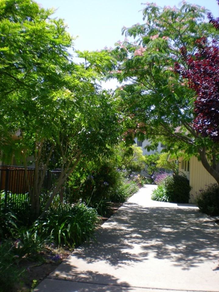 4700 Dexter Drive Apartments and Townhouses - Photo 2 of 48