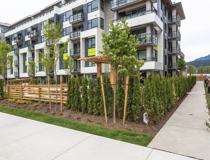 3018 Saint George Street #107 - Photo 1 of 1