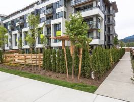 featured image of 3018 Saint George Street #107