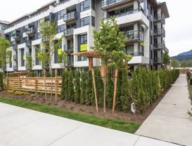3018 Saint George Street - Photo 1 of 1