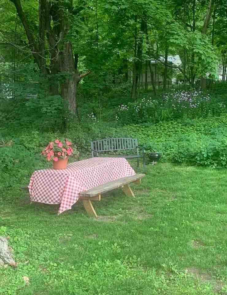 Canaan - Photo 2 of 2