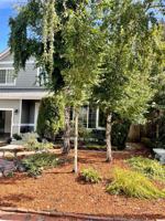 featured image of 2135 Miss Ellis Loop Ne