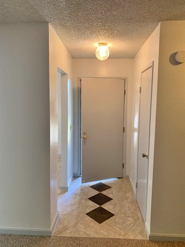805 Avon Ct - Photo 4 of 14