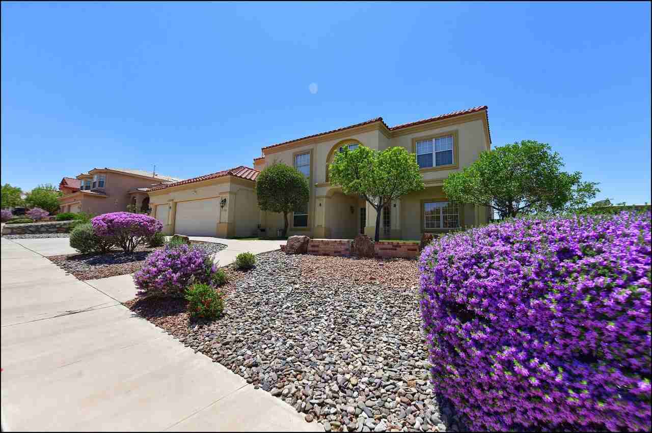 6732 Pearl Ridge Dr - Photo 2 of 50