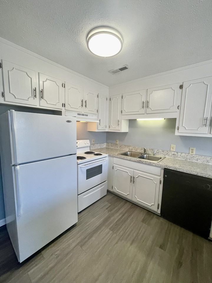 1150 Homestead Garden Court - Photo 3 of 19