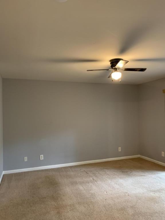 4834 Innisbrook Ct Apt 1110 - Photo 7 of 11