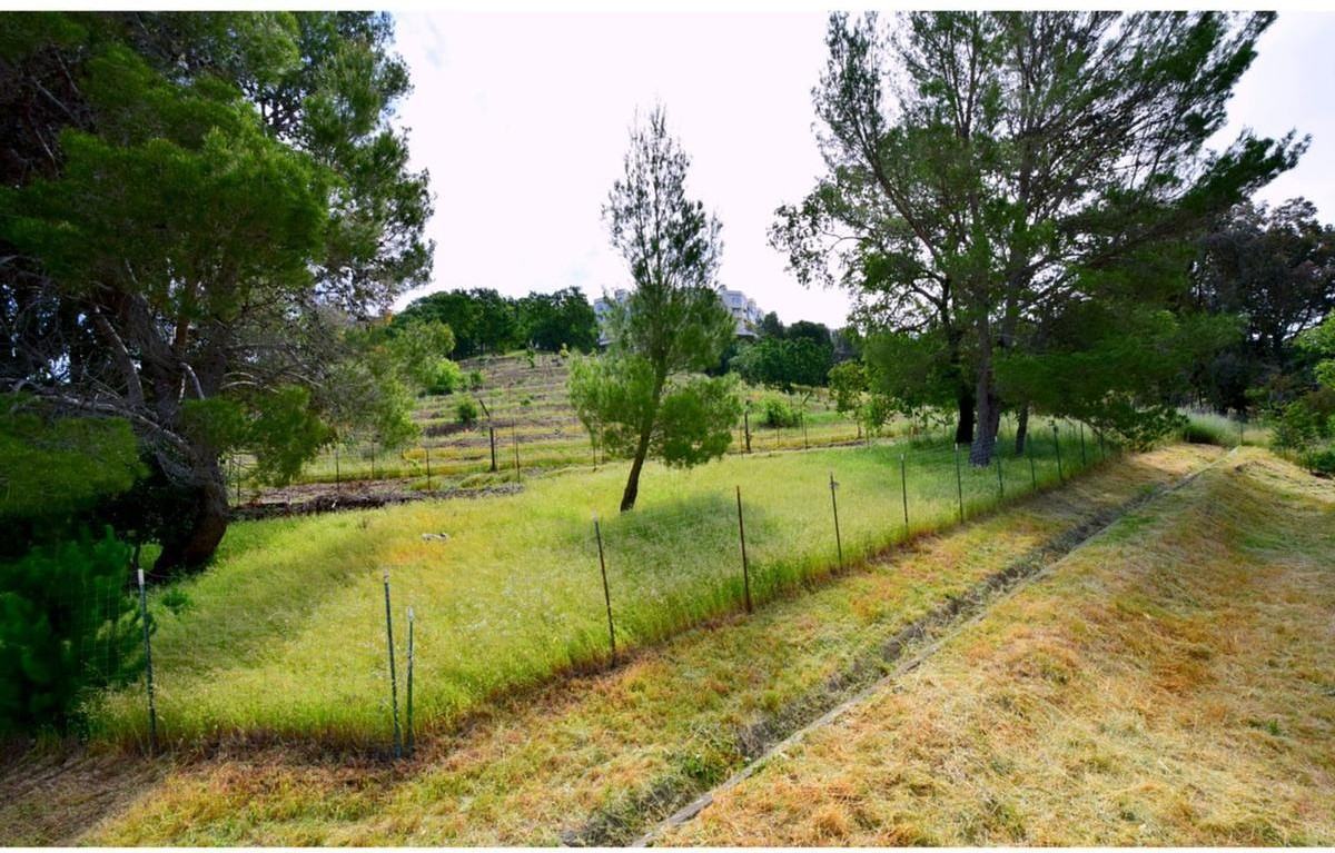 175/195 Nova Albion Way - Photo 5 of 26