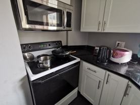 233 Brookline St #2 - Photo 1 of 1