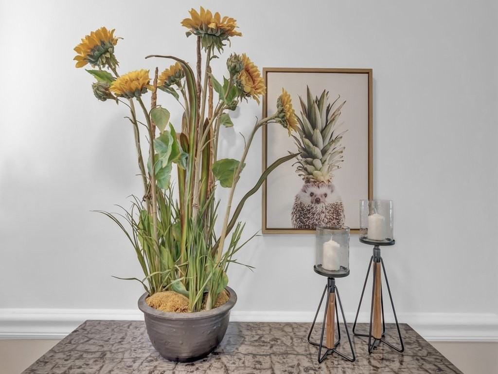 611 Gardenia Lane - Photo 4 of 36