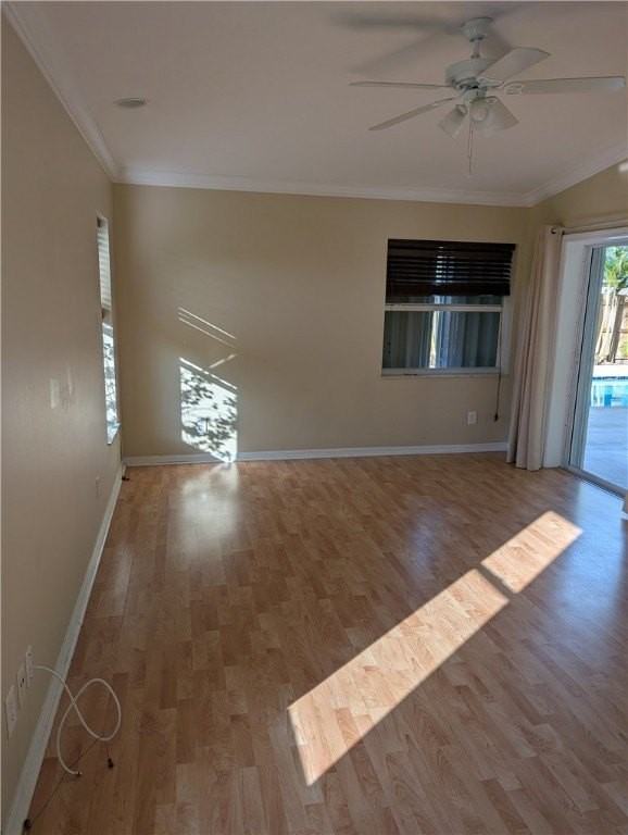 419 Biscayne Ln - Photo 3 of 29