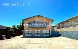 36883 Ash St #2 - Photo 1 of 1