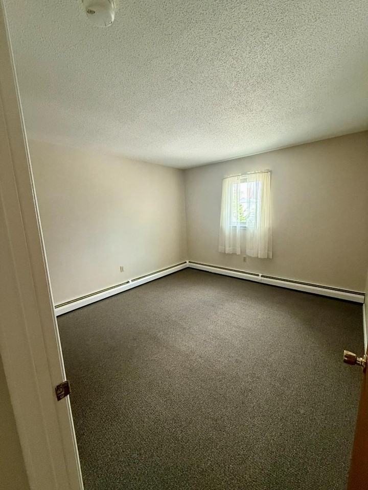 13 -19 Lower Welden Street - Photo 2 of 6