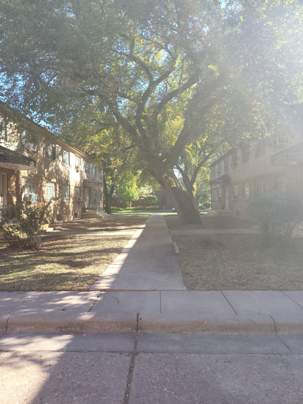 717 N Buffum St #1 - Photo 2 of 7