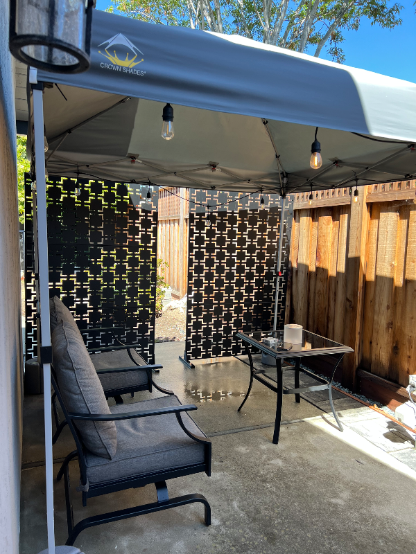 2105 Corte Primavera - Photo 6 of 8