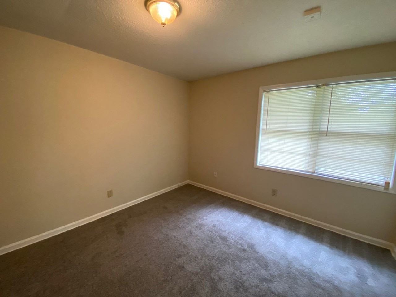 1491 E Holmes Rd - Photo 6 of 15