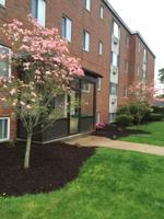 featured image of 45 Hawthorne St