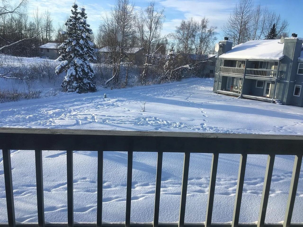 10237 Jamestown Dr #504 - Photo 2 of 14