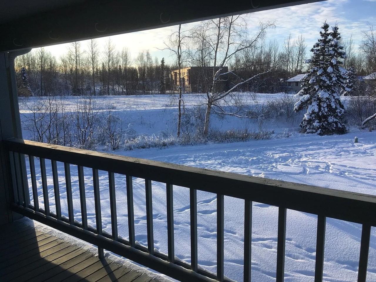 10237 Jamestown Dr #504 - Photo 3 of 14