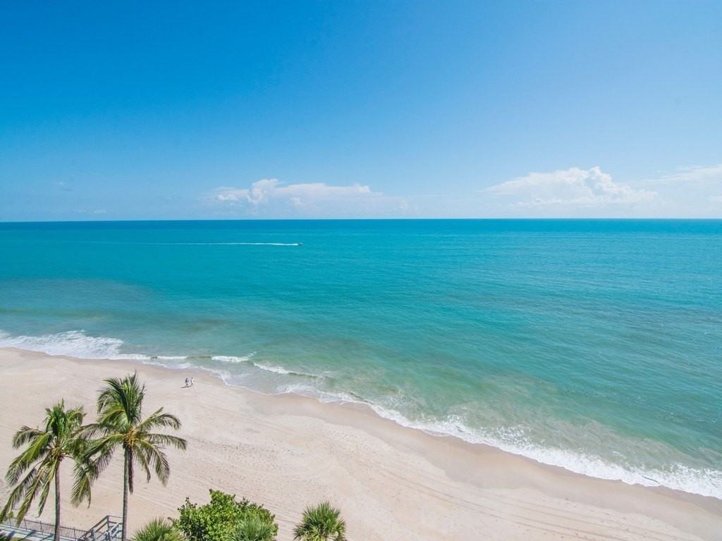 1445 Treasure Cove Lane - Photo 2 of 36