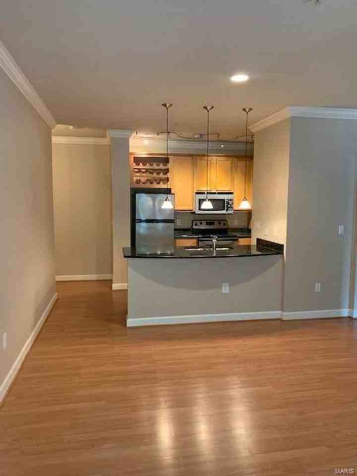 2746 Mcknight Crossing Ct - Photo 2 of 16