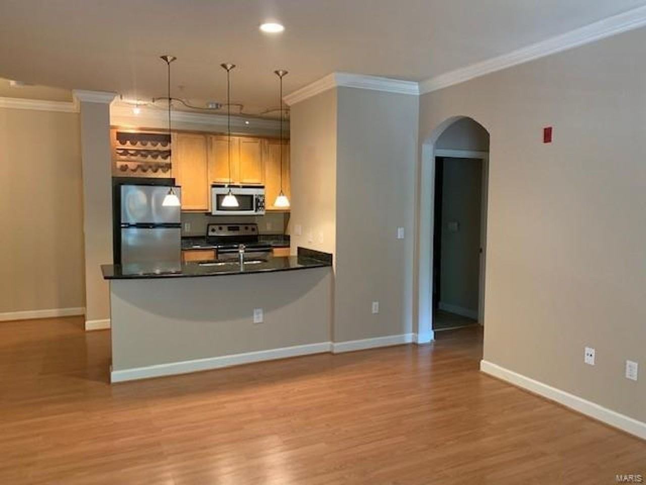 2746 Mcknight Crossing Ct - Photo 3 of 16