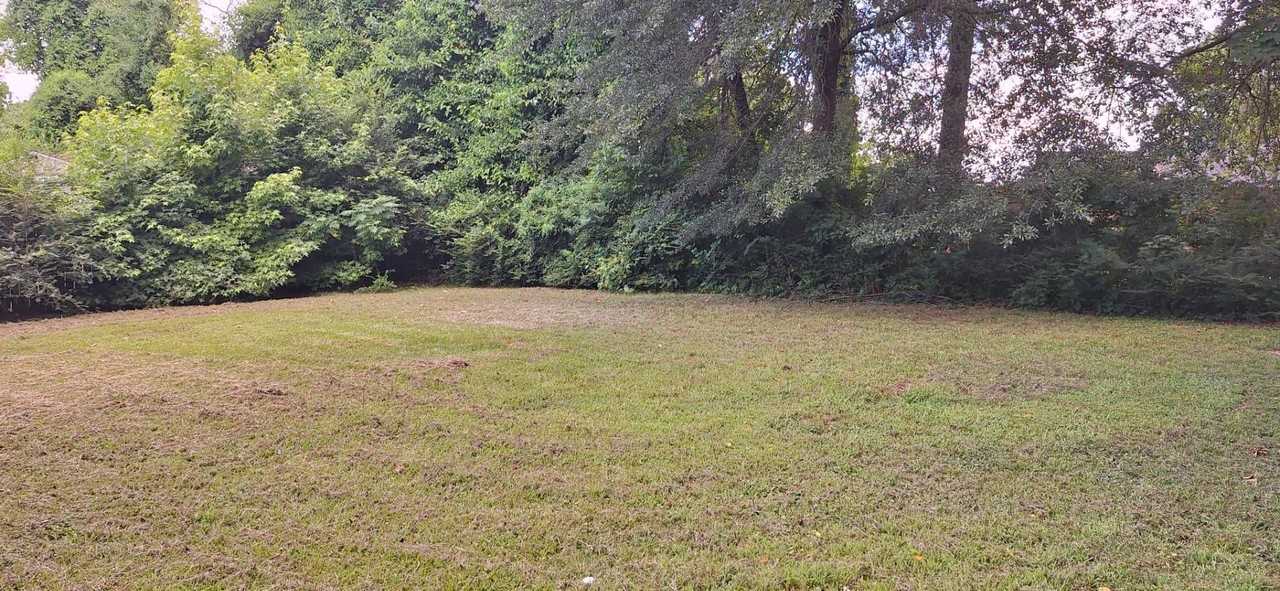 5261 Bradcliff St - Photo 3 of 10