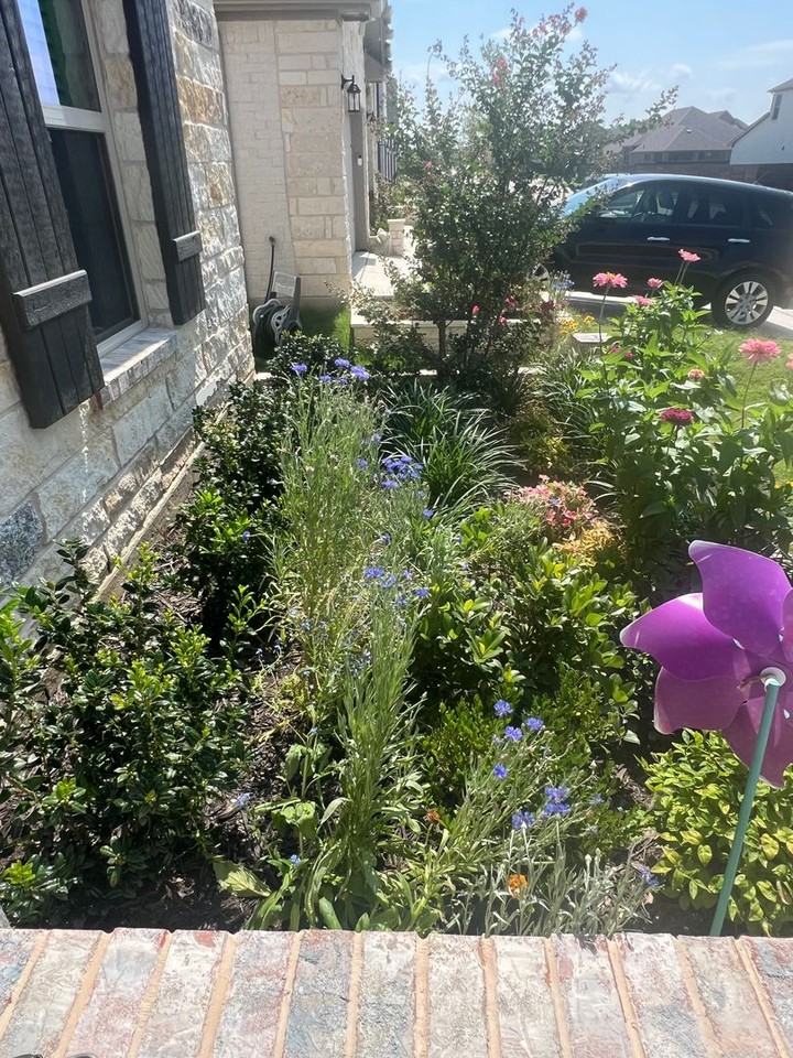 1404 Huckleberry St - Photo 3 of 50