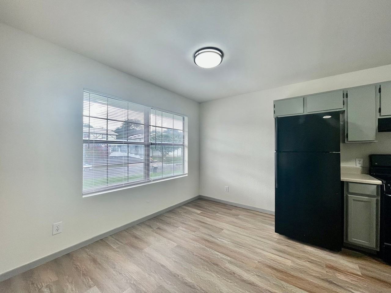 104 Lady Bird Ln #D - Photo 6 of 20