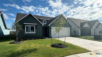 featured image of 1009 Alma