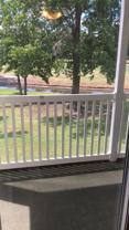 493 White River Dr #28E - Photo 1 of 1