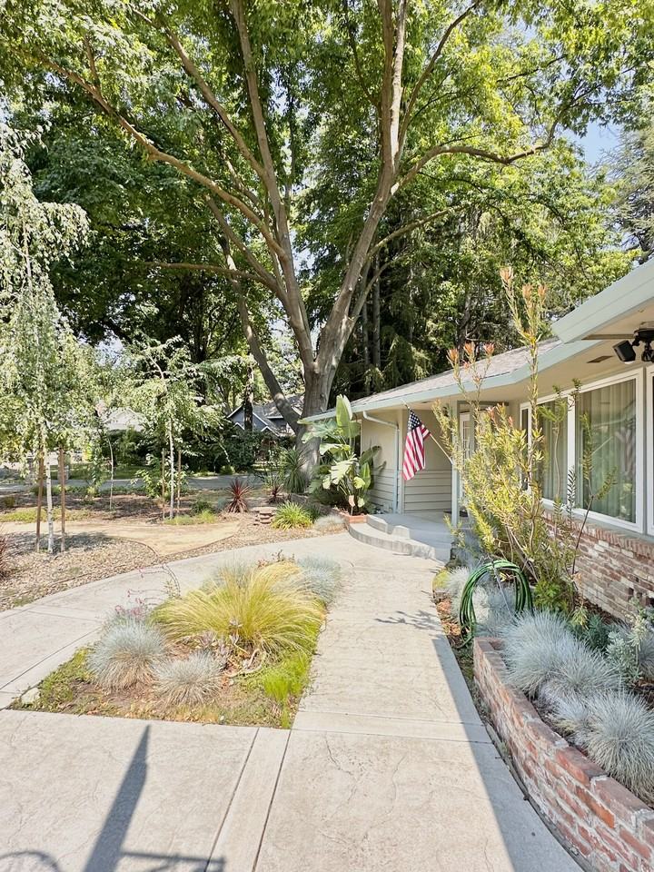 991 Piedmont Dr #NA - Photo 3 of 50